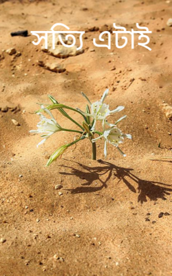 সত্যি এটাই