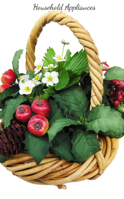 Household Appliances