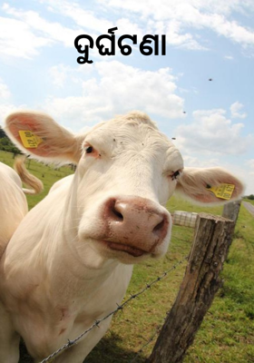 ଦୁର୍ଘଟଣା