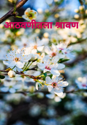 आठवणीतला श्रावण