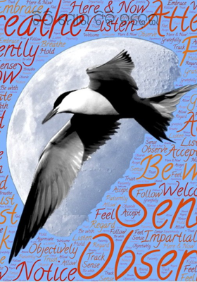 ଚିଠି ମୋର ଟିକି ଚଢ଼େଇ 