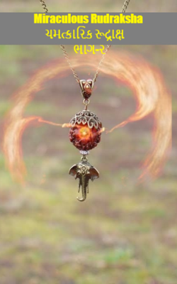 ચમત્કારિક રૂદ્રાક્ષ ભાગ-૨