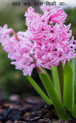 वक़्त कब ठहरा किसी का-