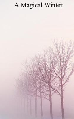 A Magical Winter