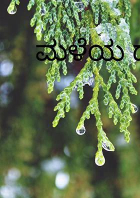 ಮಳೆಯ ದನಿ