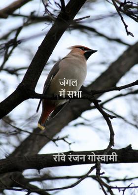 जंगल में सभा