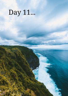 Day 11
