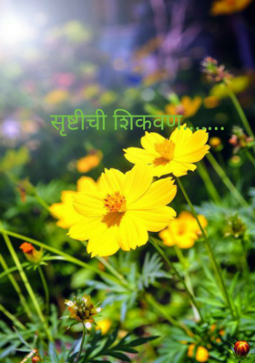 सृष्टीची शिकवण