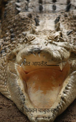 नील आयलँड