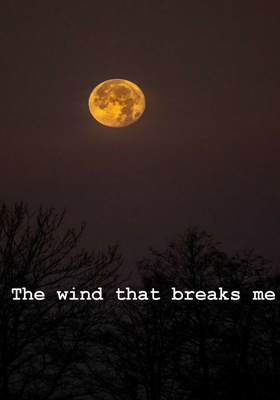 The Wind That Breaks Me
