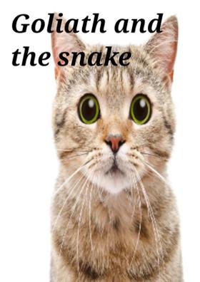 Goliath And The Snake