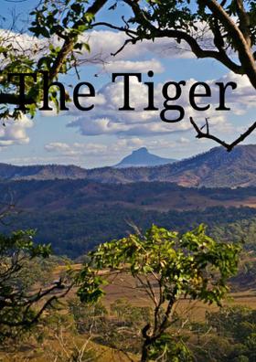 TTT- The Terrific Tiger