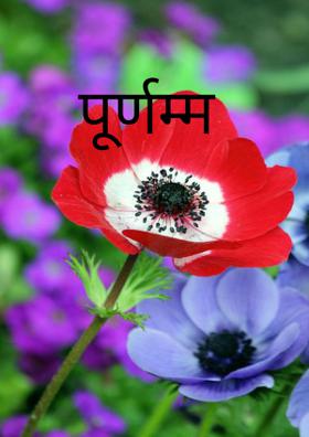 पूर्णम्म