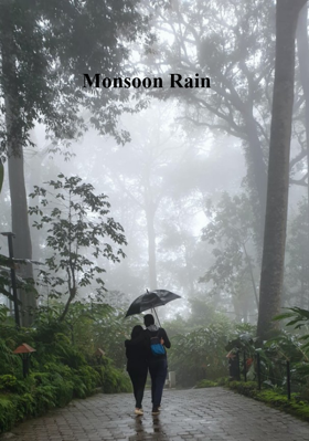 Monsoon Rain