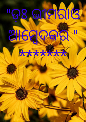 ଡ଼ଃ ଭୀମରାଓ ଆମ୍ବେଦକର
