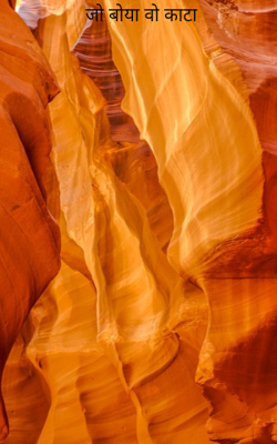 जो बोया वो काटा 