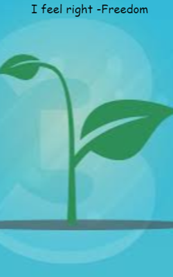 I Feel Right - Freedom