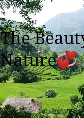 The Beauty Of Nature