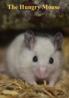 The Hungry Mouse