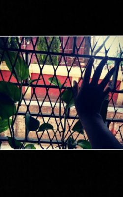 लेखक का धुंधला प्रेम