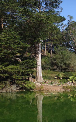 हमने जीना जाना है