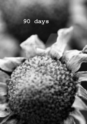 90 days