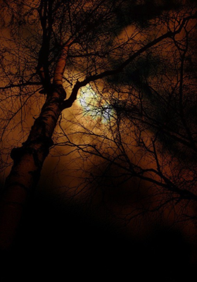 NIGHT OF THE AUTUMN!