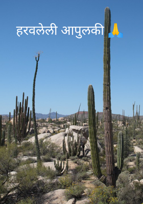 हरवलेली आपुलकी 🙏