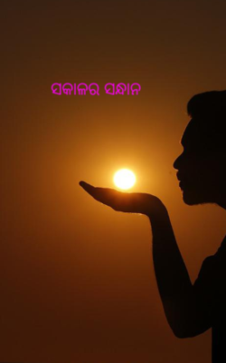 ସକାଳର ସନ୍ଧାନ