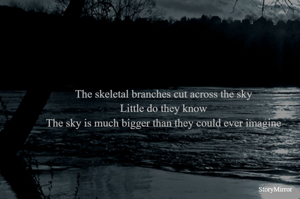 The skeletal branches cut across the sky
Little do they know
The sky is much bigger than they could ever imagine

