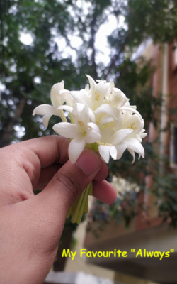 My Favourite "Always"