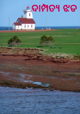 ଦାମ୍ପତ୍ୟ ଝଡ