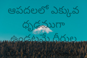 ఆపదలలో ఎక్కువ ధృఢముగా
ఉండటమే ధీరుల యొక్క స్వభావము 