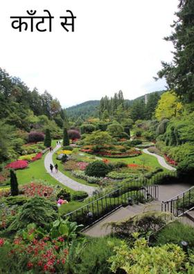 काँटो से रास्ता