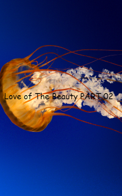 Love of The Beauty - PART 02