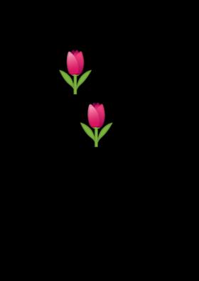🌷इतिहास लिख देना है🌷