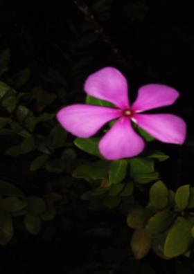 कविता —तो पाऊस