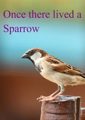 Once there lived a Sparrow
