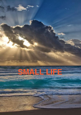 Small Life