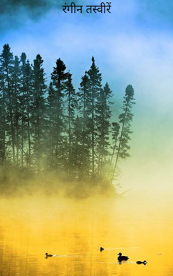 रंगीन तस्वीरें 