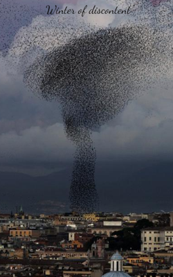 Winter of Discontent