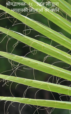 श्रीमद्भागवत -२८  उद्धव जी द्वारा भगवानकी लीलाओं का वर्णन