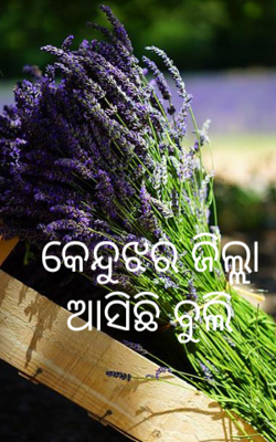 କେନ୍ଦୁଝର ଜିଲ୍ଲା ଆସିଛି ବୁଲି