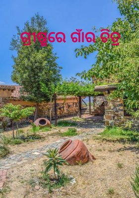 ଗ୍ରୀଷ୍ମରେ ଗାଁର ଚିତ୍ର