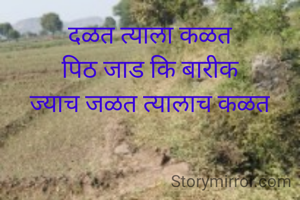 दळत त्याला कळत
पिठ जाड कि बारीक
ज्याच जळत त्यालाच कळत
