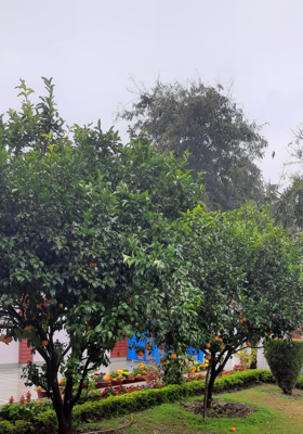 उम्र में फ़र्क