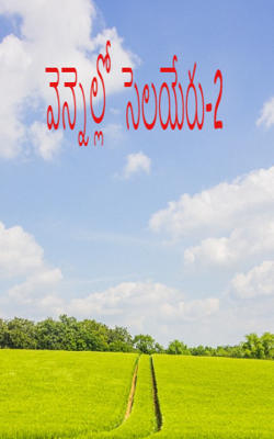 వెన్నెల్లో  సెలయేరు-2