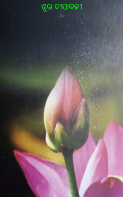 ଶୁଭ ଦୀପାବଳୀ