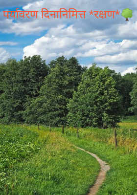 पर्यावरण दिनानिमित्त *रक्षण*