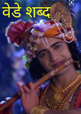 वेडे शब्द